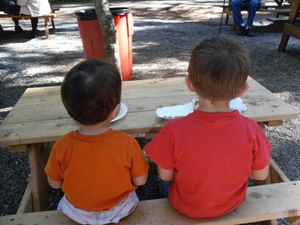 Hank & Louie at a bench